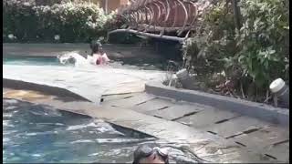 Arby Barra Nabila Renang D Ipocan