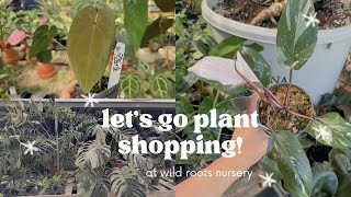 MASSIVE CUTTING SALE & Plant Shopping at Wild Roots Nursery in New Braunfels, TX 🤠