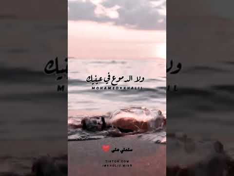 طارق الشيخ حالات واتس سلملي علي قلبك 