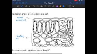 IGCSE Biology October/November 2020 0610/21 w20 Q1-20