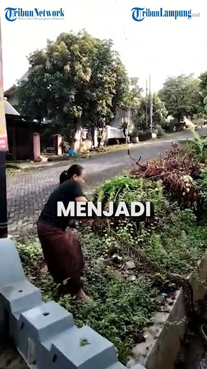 MOTHER DESPERATELY CATCHES A PYTHON WITH HER BARE HANDS