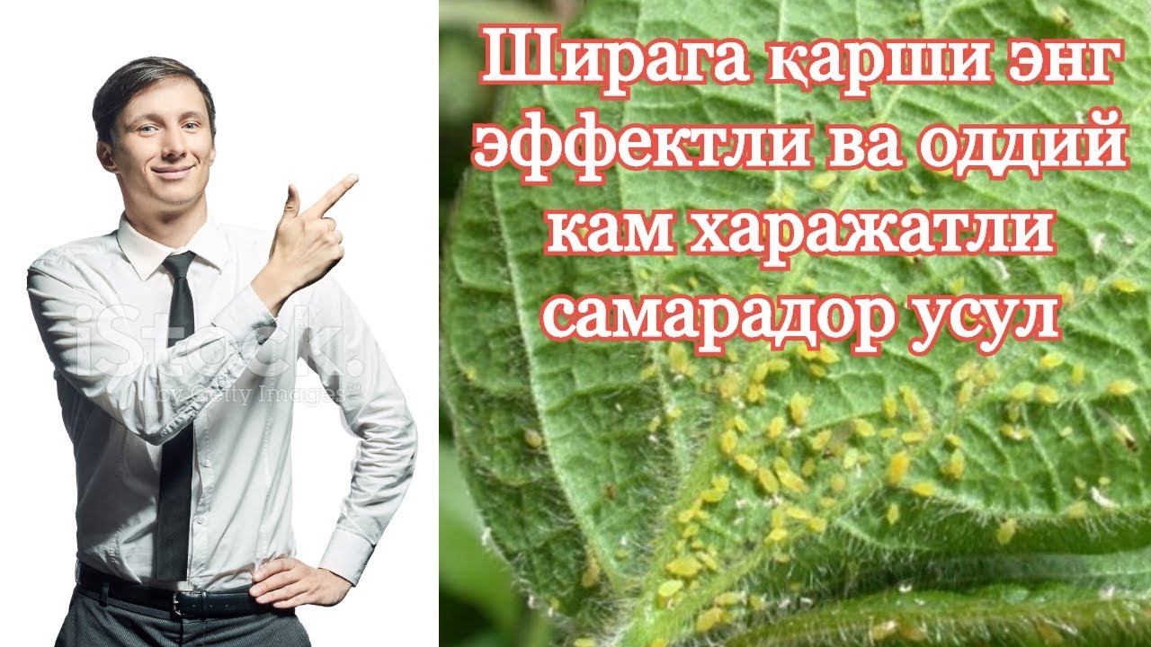 Гемаройга карши маз