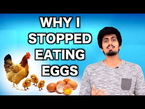 Why I Stopped Eating Eggs