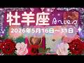 牡羊座★2026/5/16~31★そこから、その関係から卒業して次に進む時が来ている✨自分を輝かせていく居場所、活躍の舞台に導かれている時