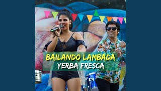 Bailando Lambada - Yerba Fresca
