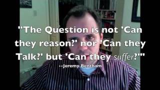Antybu on Moral Vegetarianism