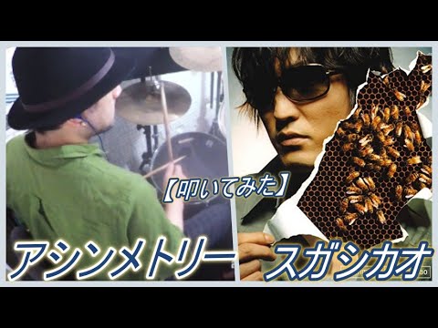 アシンメトリー / スガシカオ【ドラム】【叩いてみた】