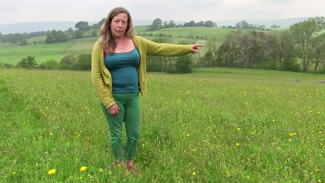 3. Hay Meadow Restoration