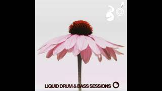 Feels like summer - (Liquid Drum & bass)