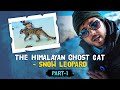 In search of snow leopard  spiti valley   the ghost of snow  part1  rohan travel stories