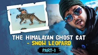 In Search of Snow Leopard | Spiti Valley | The Ghost of Snow | Part-1 | Rohan Travel Stories