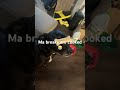 #automobile #ultra #surron #broken #breaks #ebike #dog