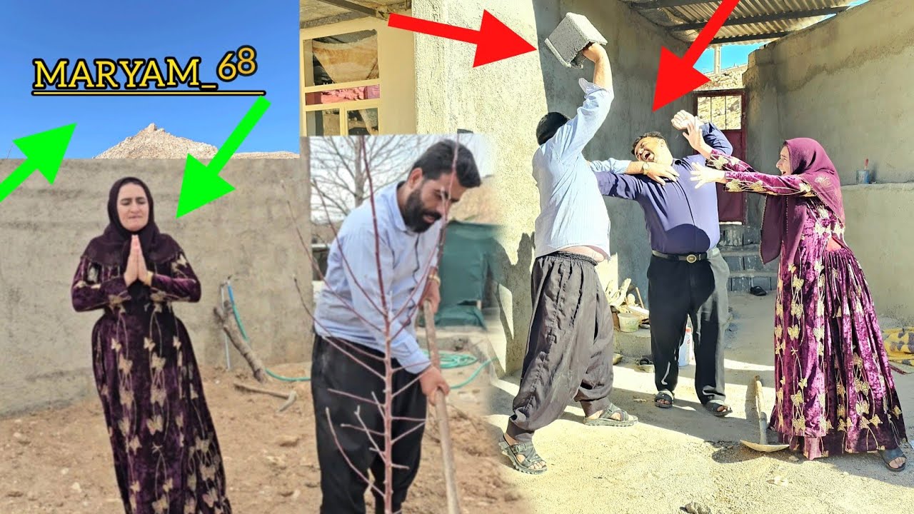 Неожиданное освобождение опасного нарушителя; тень тюрьмы над головой Али.