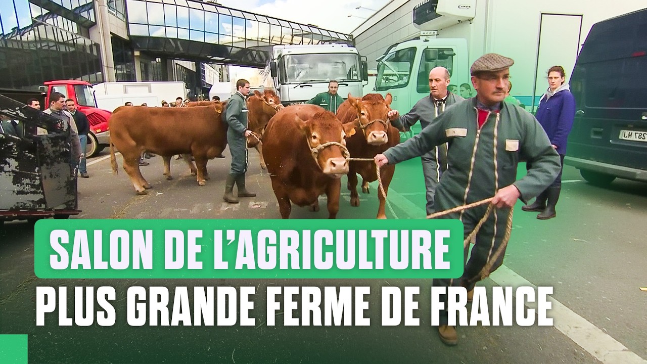 La face cachée du Salon de l’Agriculture