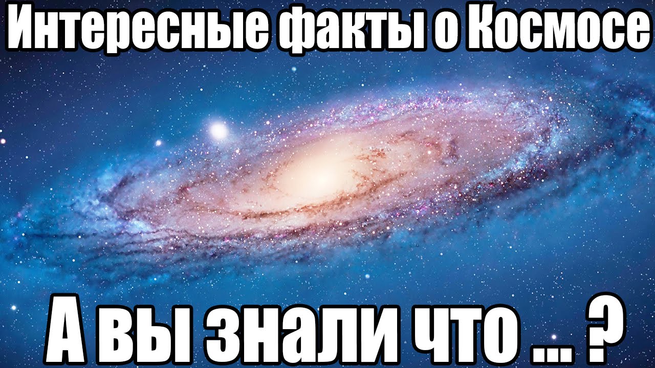 2019 год - А вы знали что 2019 год - А вы знали что ... - Все самое интересное - foboxs.com