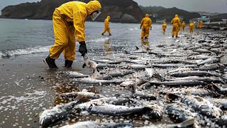 What&#39;s WRONG with the Ocean?