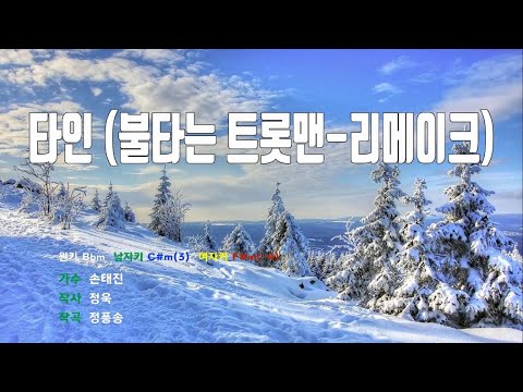 [은성 반주기] 타인(불타는트롯맨-리메이크) - 손태진