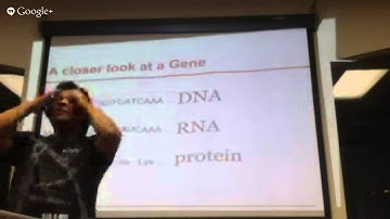 Bioinformatics 101 - Designing genetic parts - 2nd meeting