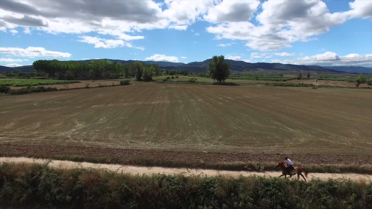 Tricio - La Rioja