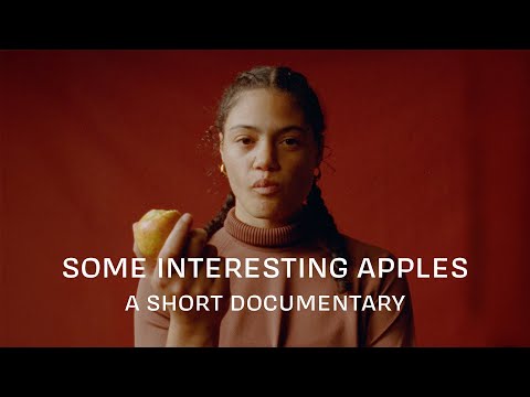 چند سیب جالب یک مستند کوتاه 
