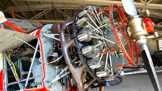 Old RADIAL Engines Cold Start Smoke and Sound THAT YOU MUST SEE 2