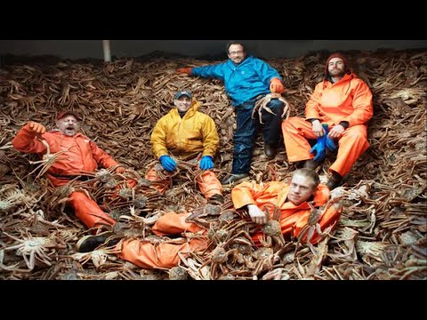 Amazing Fastest Catch Million of Alaska King Crab With Modern Boat