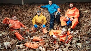 Amazing Fastest Catch Million of Alaska King Crab With Modern Boat - Amazing crab fishing on the sea