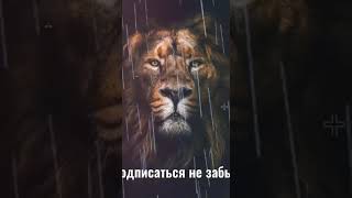 Nle Choppa - Different Day Lil Baby Emotionally Scarred Remix