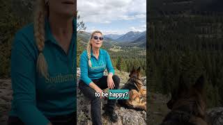 FAQ German Shepherd Question #3 #southernwindkennels #dogeducation #puppydevelopment #dogbehavior