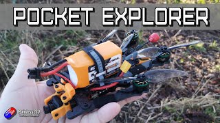 Foldable 4 Explorer Quad: Baby Frog from Farins Frames