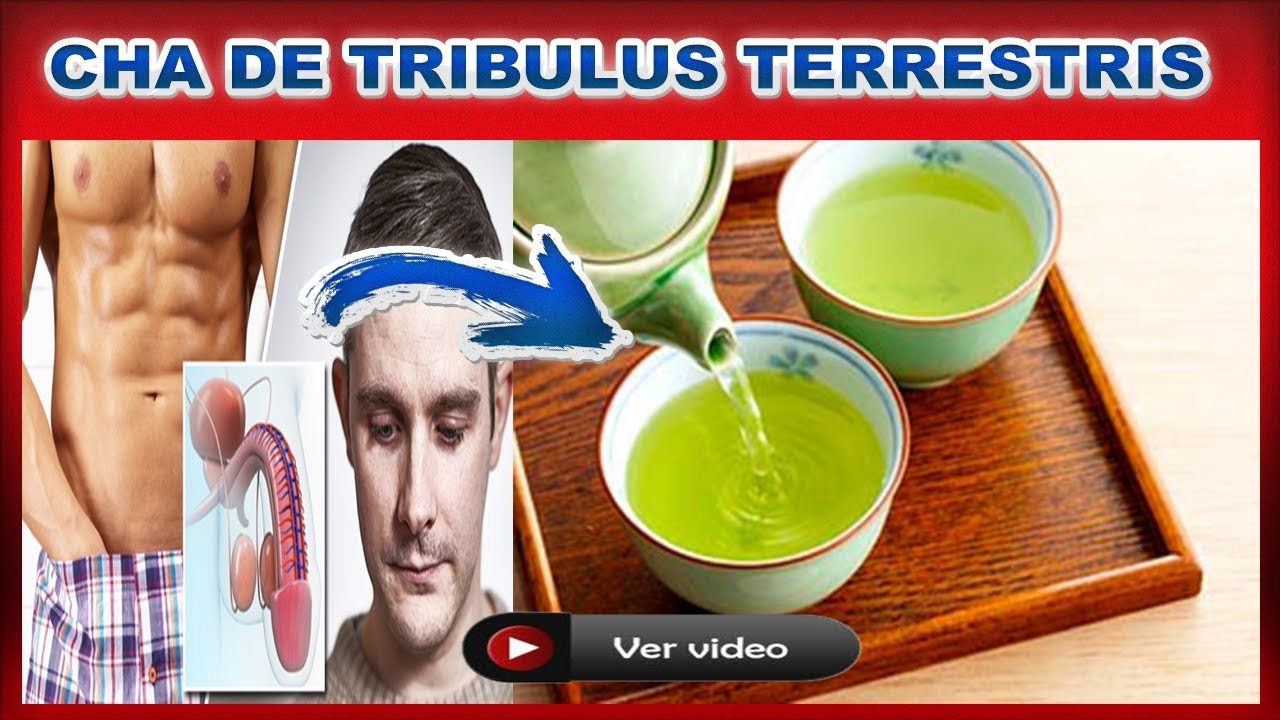 remedio caseiro para testosterona remedio caseiro para testosterona