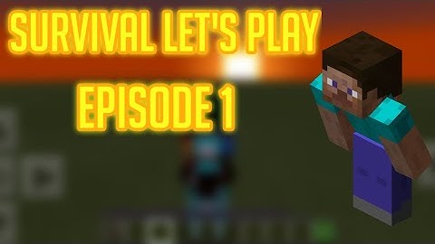 Minecraft Survival Let