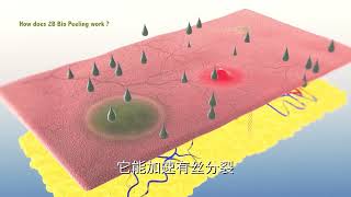 How does the 2B Bio Peeling work? (EN - CN subtitle)