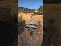 Drone DJI Avata 2 Noise Test – Is It Really Loud?