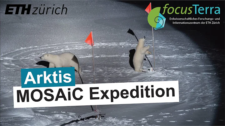 MOSAiC Expedition