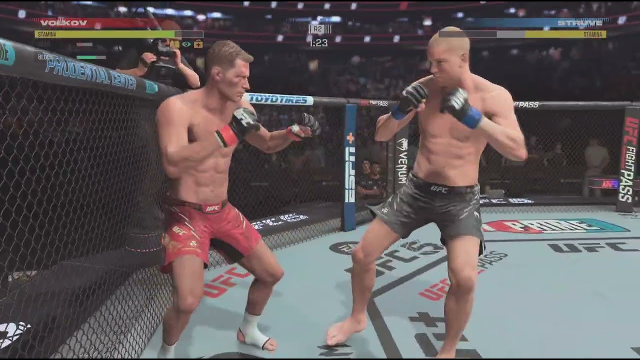 Volkov VS Struve Heavyweight Fight