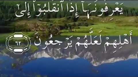 سورة يوسف صفحة  ٢٤٢ مكتوبة مكررة بصوت سعد الغامدي