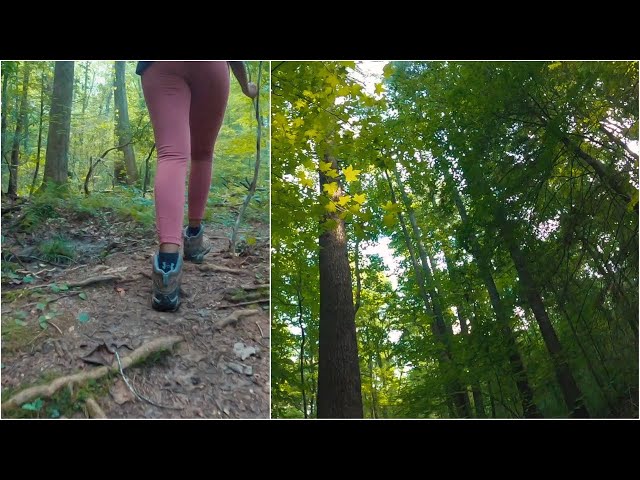 Tobacco Pouch Trail to Fall Creek Trail