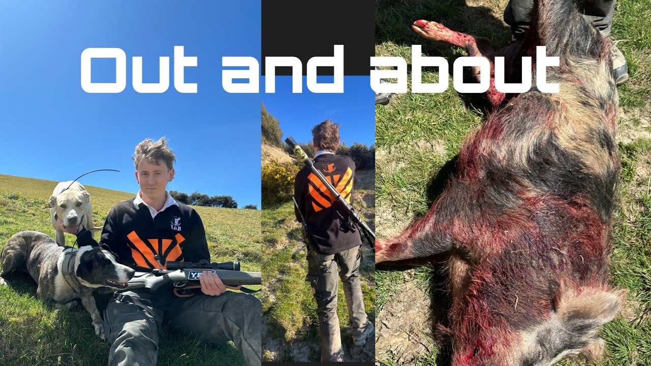 Последняя весенняя охота 2025 года. /Следовые собаки/