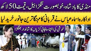 Big Bull | Asma Abbas Nay Sub Say Barra Janwar Khareed Liya! | Chand Raat Special | Punjabi Kuriyan