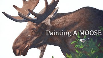 Painting a moose in acrylic, watch this time lapse unfold in time lapse, artist Tim Gagnon Studio
