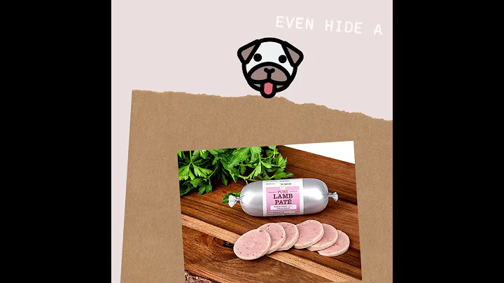 JR Pure Pate for Dogs