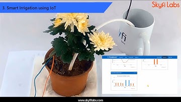 IoT (Career Building Course) from Skyfi Labs