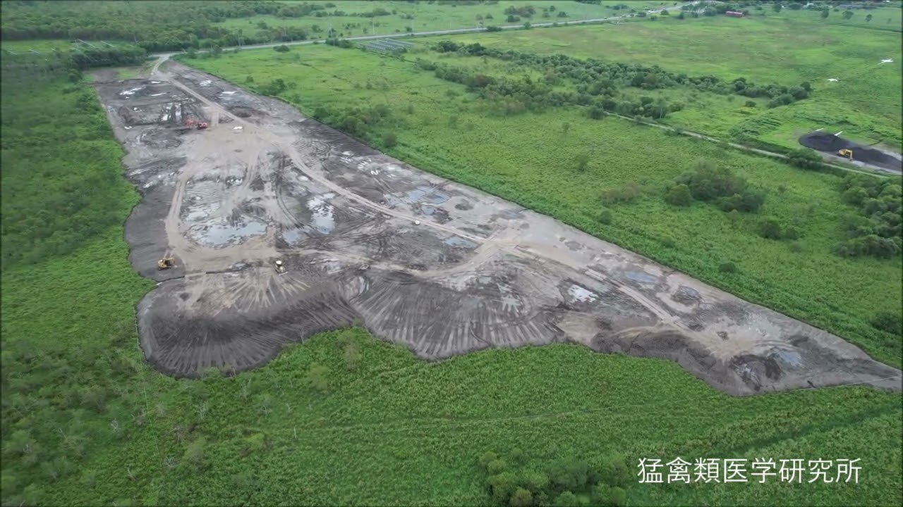 maxresdefault.jpg?sqp=-