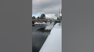 Dorset Water Cross 2019 #1