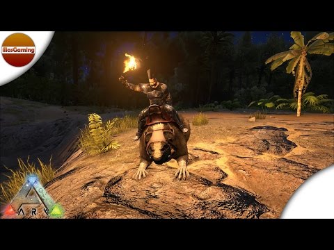 Κάνουμε tame Κάστορα.