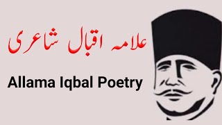 Allama Iqbal Poetry Status Allama Iqbal Ashqawala