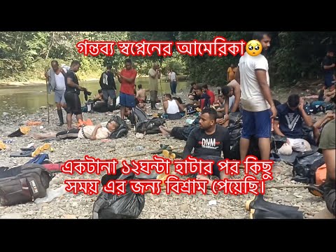 ভিডিও: জিঙ্গেল জঙ্গল কোথায় ভিত্তিক?