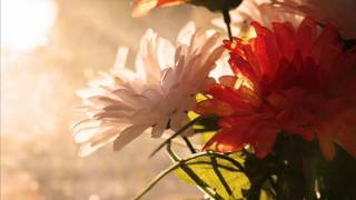 Flowers - a composition
