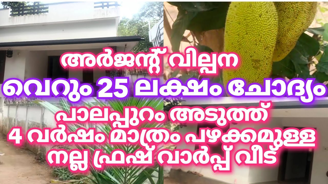 അർജന്റ് വില്പന വെറും 25 ലക്ഷം ചോദ്യം👌🏼4 വർഷം പഴക്കമുള്ള വാർപ്പ് വീട് പാലപ്പുറം 😱#lowbudget 
